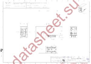 10028918-001 datasheet  