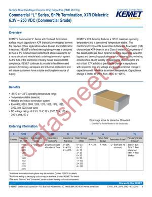 C1206C103J5RALTU datasheet  