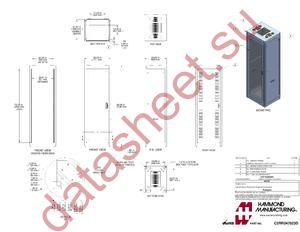 C2RR247823DLG1 datasheet  