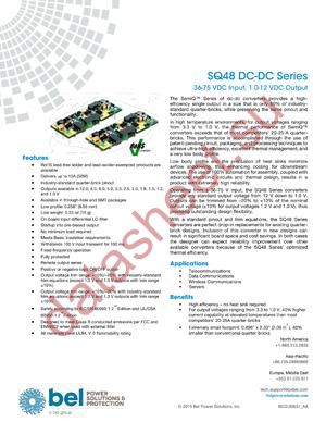 SQ48S10050-NS00 datasheet  