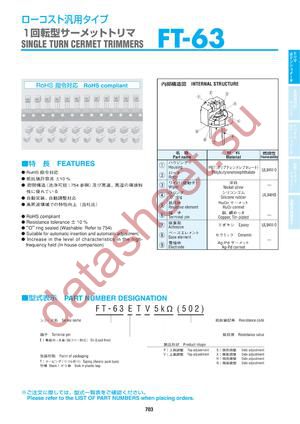 FT63ETV105 datasheet  